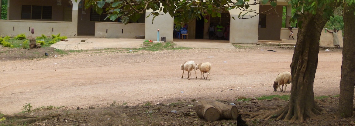 Millennium Villages Scale-Up 