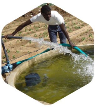  SECTEUR D'INTERVENTION